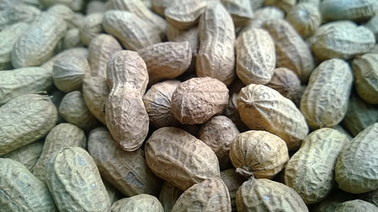 bundle of peanuts thumbnail