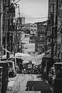 greyscale photography of toad between buildings thumbnail