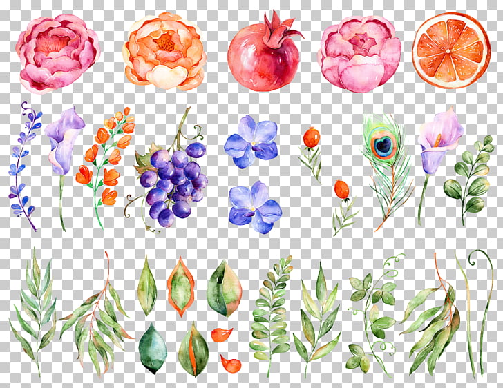 Flower Watercolor painting, Watercolor flowers, assorted-color petaled flowers PNG clipart