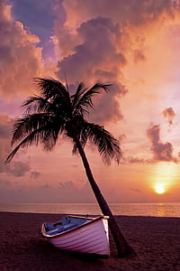 white boat beside coconut tree on the beach during sunset thumbnail