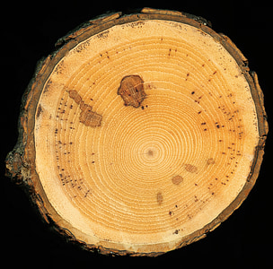 round brown log thumbnail