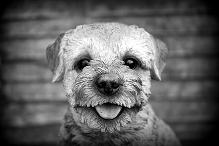 grayscale photo of dog showing its tongue thumbnail