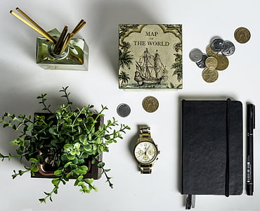 top view of pile of coins and black leather journal case and green leaf plant on white table top thumbnail