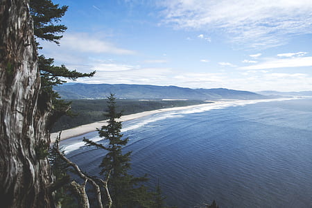 aerial photography of beach during daytime thumbnail