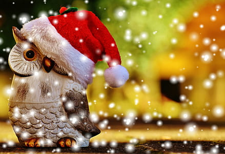 shallow focus photo of brown wooden owl figure decor thumbnail