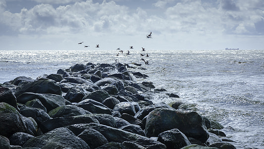 flight of birds over rippling body of water and rock formations thumbnail