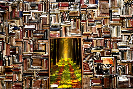 book lot thumbnail