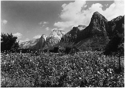 East side of Zion Canyon in 1929 in Utah thumbnail