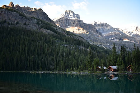 brown cabin in front of woods thumbnail