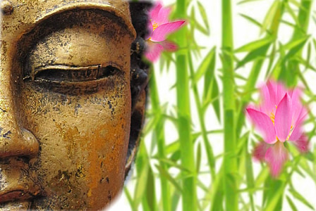 Buddha and pink waterlily flower thumbnail