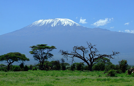 Mount Kilimanjaro landscape rising behind the trees thumbnail