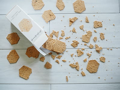 pieces of biscuits on floor thumbnail