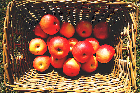 Overhead shot of basket of apples thumbnail