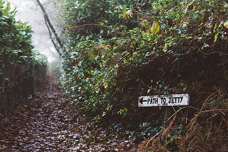 Path to Jetty signage on green leafed plant at daytime thumbnail