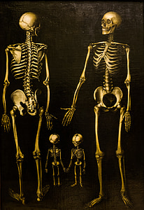 human skeleton painting thumbnail