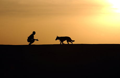 silhouette of man and adult German shepherd during sunset thumbnail
