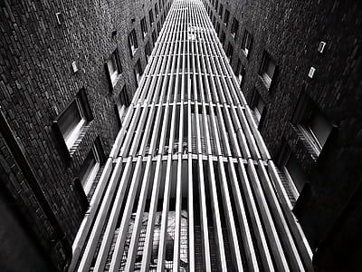 black-and-white, buildings, windows, tall thumbnail