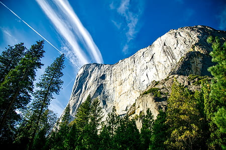 green leafed trees below rocky mountain during daytime thumbnail