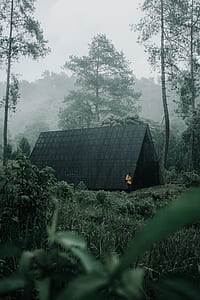 gray tent near trees thumbnail