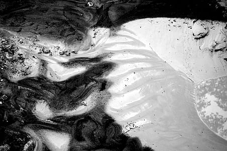 grayscale photo of dog thumbnail