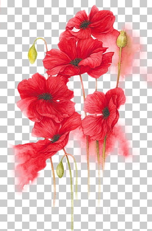 Orange, Red, Yellow Flower Watercolor painting, Hand-painted red flowers illustration, red-petaled flowers painting PNG clipart
