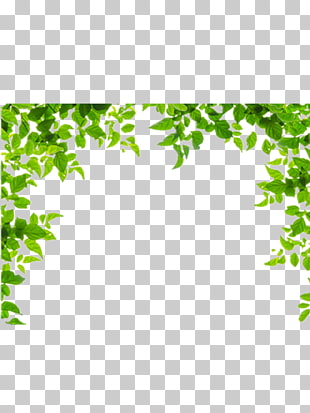 Borders and Frames Leaf Green , Green leaves border, green leaves PNG clipart