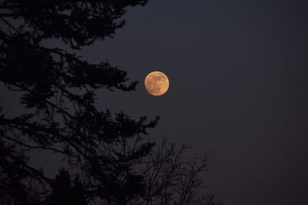 full moon at night thumbnail