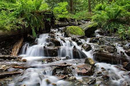 nature, water, rocks, forest thumbnail