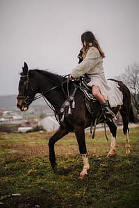 shallow focus photography of woman riding on horse thumbnail