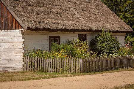 house surrounded with flowers at daytime thumbnail