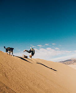person making tricks on sand with dog during daytime thumbnail