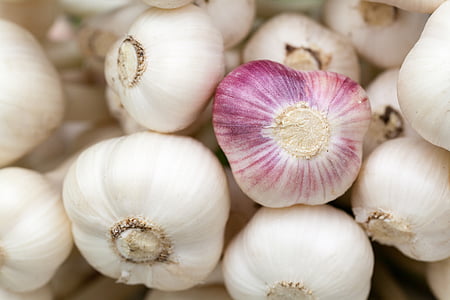 white garlic bulb lot thumbnail
