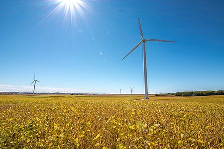 wind mills on plant field thumbnail