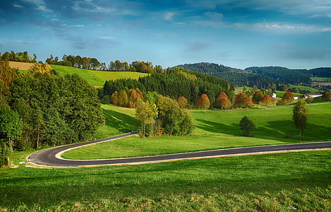 panoramic photo of winding road thumbnail