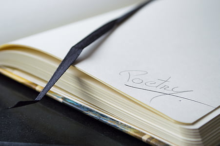 blue and white covered book thumbnail