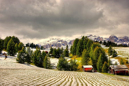 landscape photo of mountains with trees and snows thumbnail