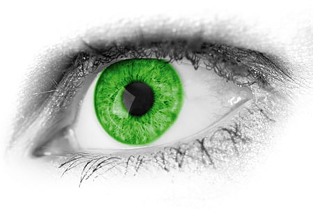 selective photo of green eye thumbnail
