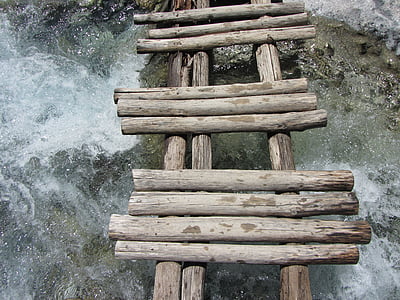 close-up photo of log above water during daytime thumbnail