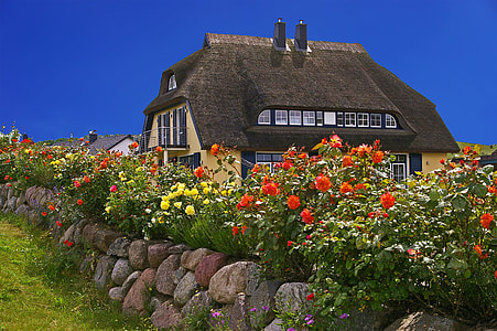 house surrounded by flower bush under clear day sky thumbnail