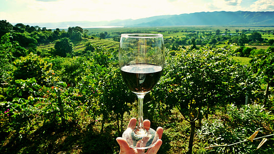 person holding wine glass thumbnail