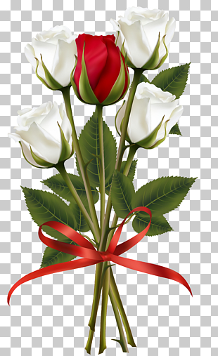 Flower bouquet Rose Red , White and Red Rose Bouquet Transparent , white and red roses bouquet illustration PNG clipart