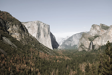 mountain surrounded by trees thumbnail