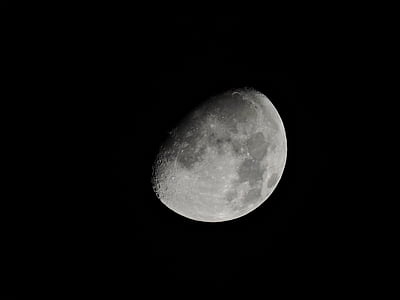 white moon thumbnail