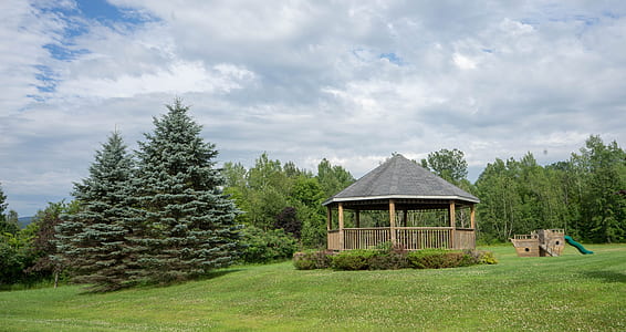 brown gazebo near forest thumbnail
