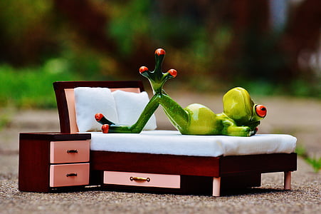 tree frog figuring lying on bed miniature thumbnail