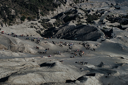 aerial shot of animals rocky mountain thumbnail