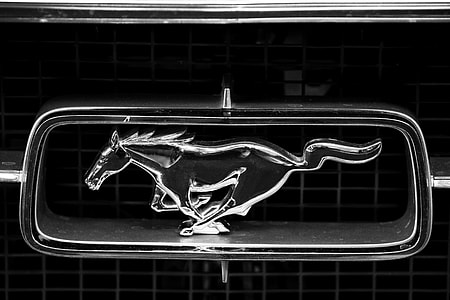 closeup photo of Ford Mustang emblem thumbnail