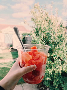 Person Holding Cup With Fresh Fruit thumbnail