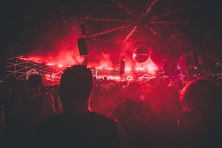 Festival Party thumbnail
