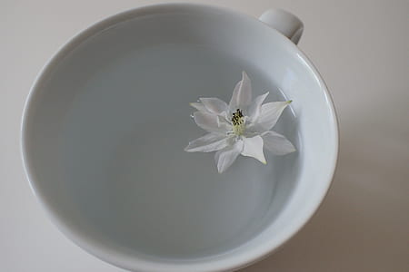 white ceramic cup filled with water thumbnail